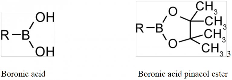 Boronic Acids : Everything You Need To Know!