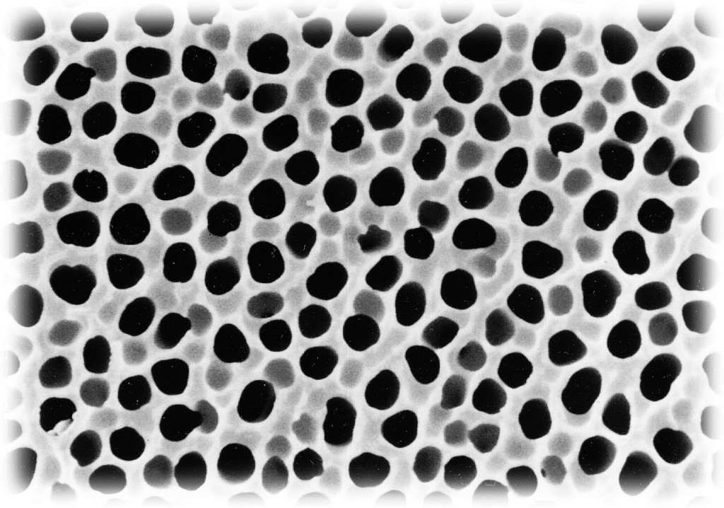 filter_syringes_structure_ pores_anopore_membrane_Whatman_Interchim_Blog-0516