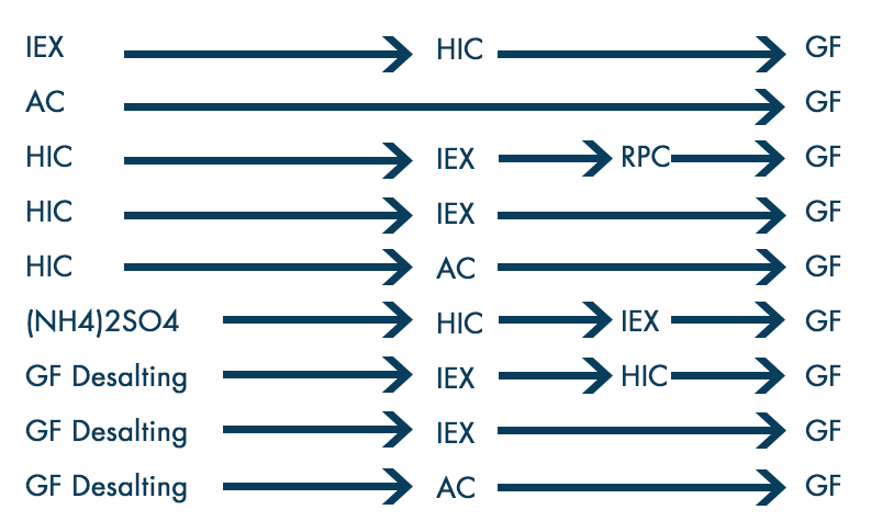 etapes_purification_proteine_interchim_blog_1016