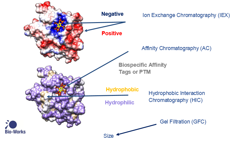 protein purification cost reduction