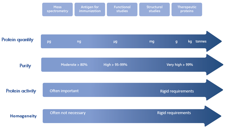 proteines_strategy_purification_interchim_blog_1016