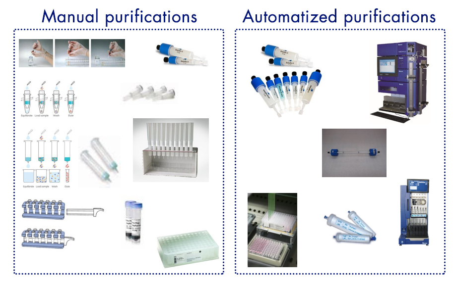 purification-proteine-manual-automatized-interchim-blog-1016