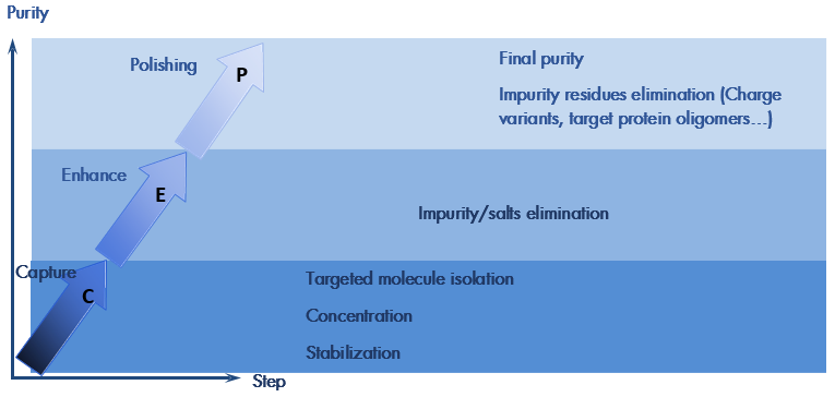 step_CEP_protein_purification_interchim_blog_1016