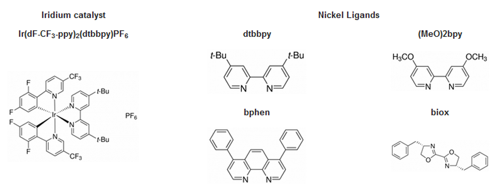 HepatoChem_photochemistry_irridium_catalyst_nickel_ligands_interchim_blog0717