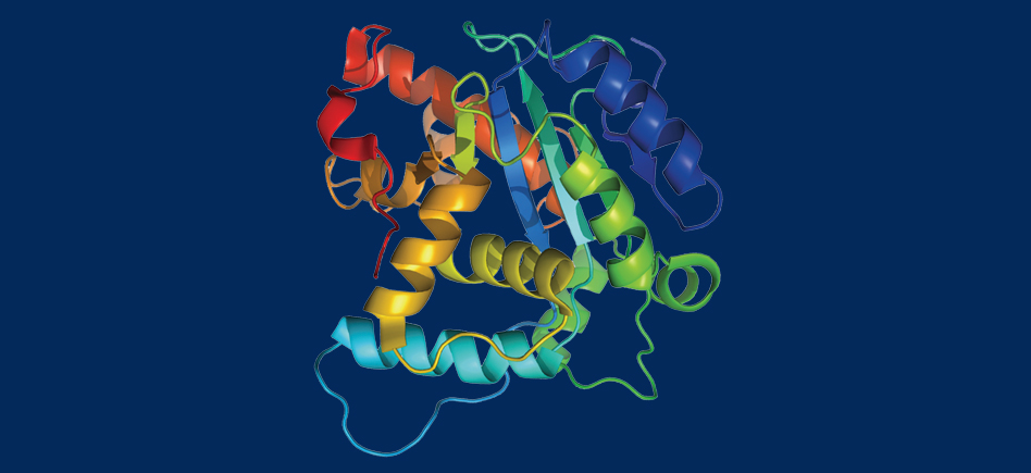 EpicoccoStab reinvents protein labeling