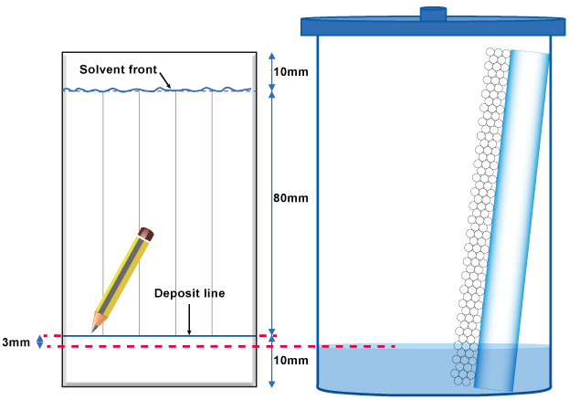 Deposit line & Solvent front