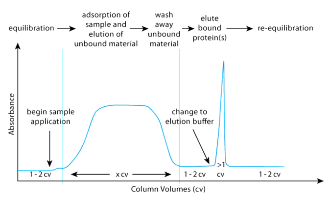 Affinity chromatography classical pattern