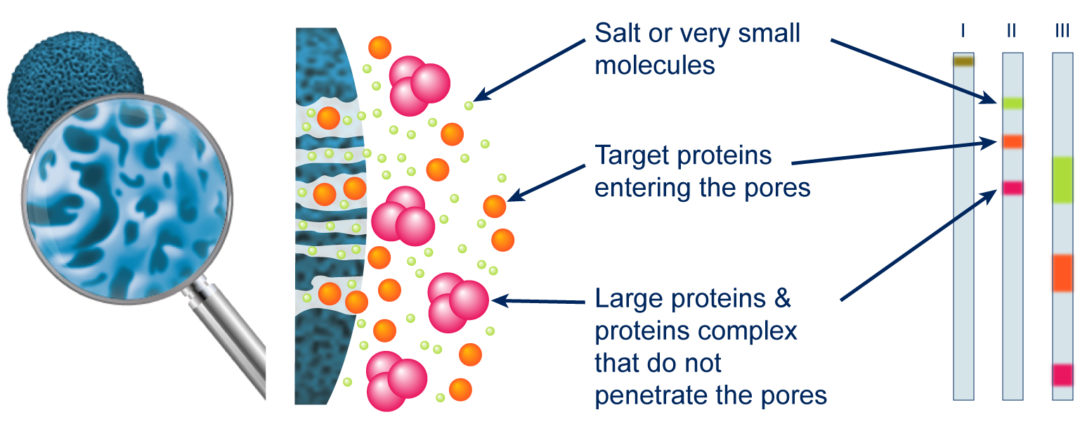 Fig 1.1 Size exclusion chromatography