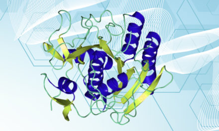 Reliable Proteinase K for molecular biology works