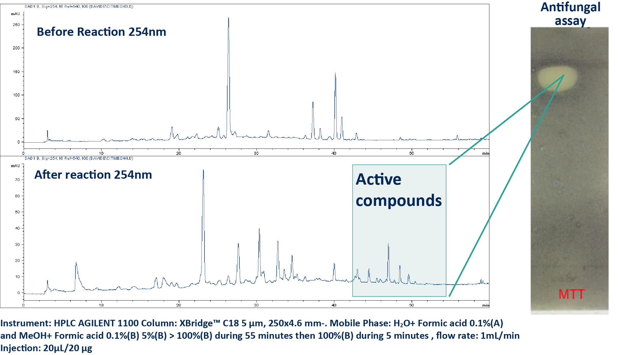 HPLC UV analysis of the crude extract after and before reaction