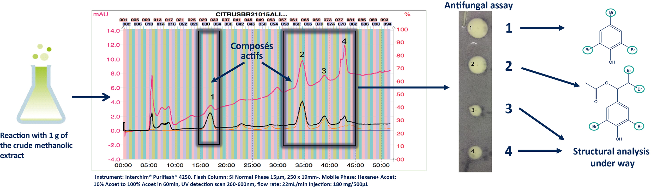 Normal Phase Ultra Pressure Flash Chromatography (FC-UV)