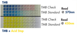 TMB-Plate-Blue-Yellow(Stop)-Pink(Check)_Advion_Interchim_Scientifc_Blog_07/22